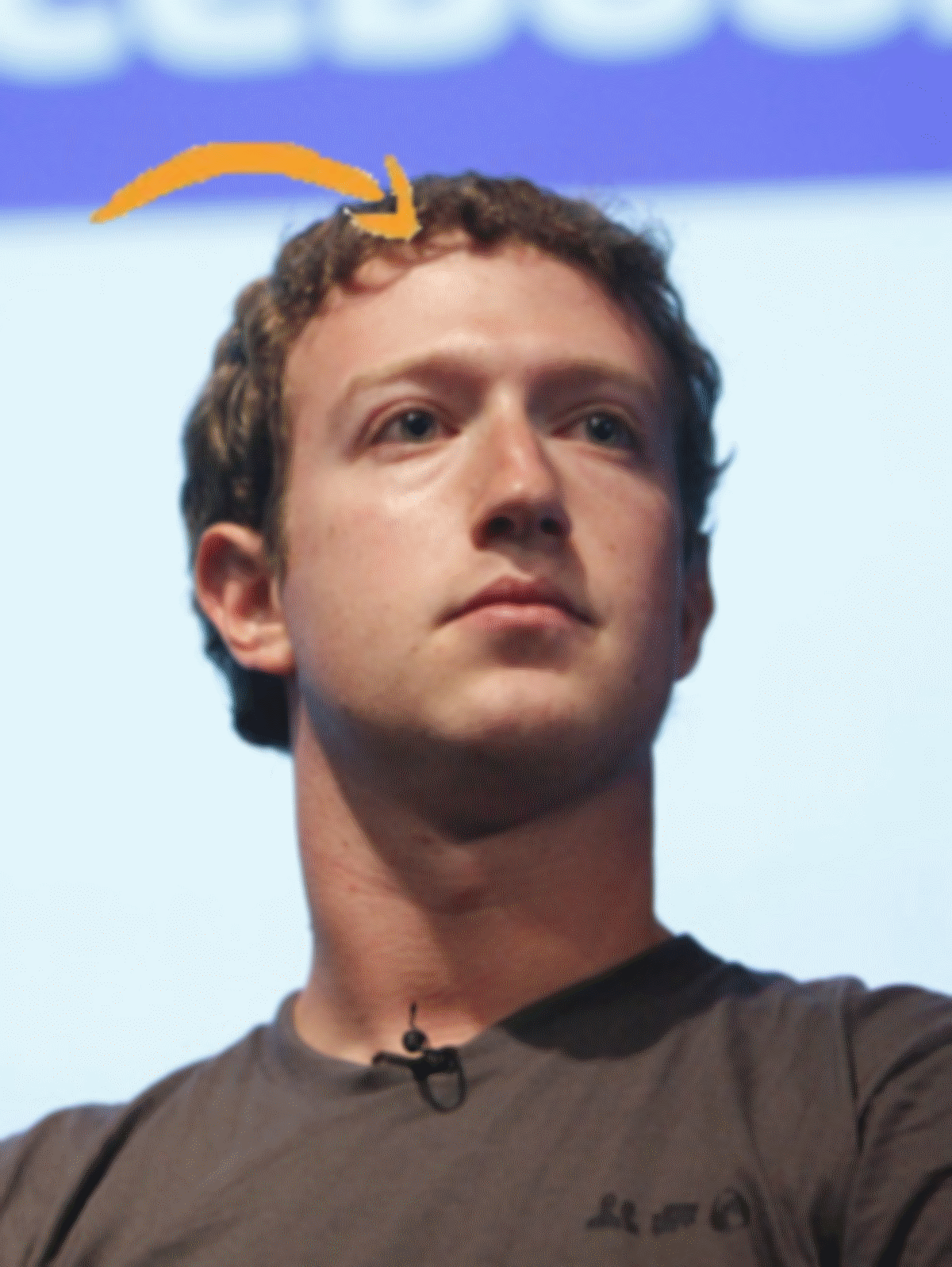 ark Zuckerberg, Meet Amazon